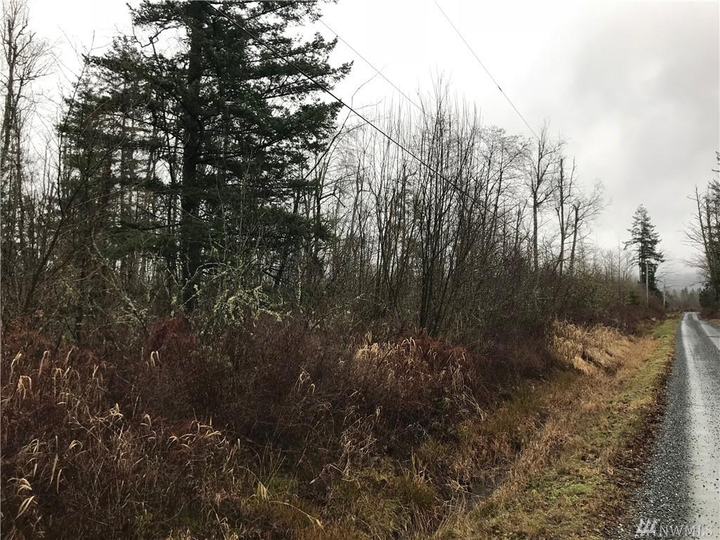 0 Everson Goshen Rd - Photo 1