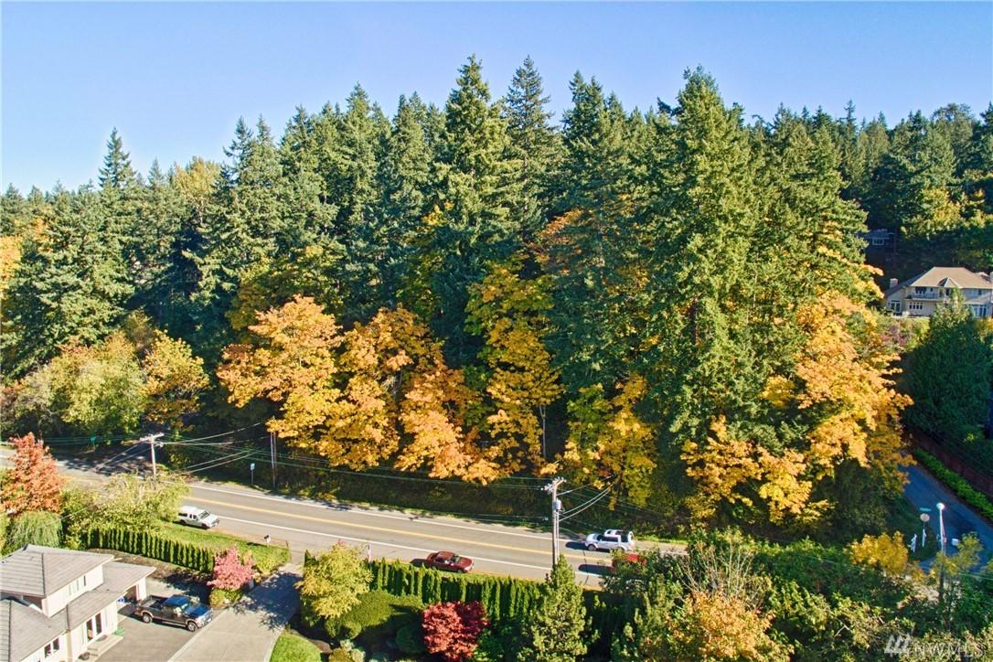 1601 East Lake Sammamish Pkwy - Photo 1