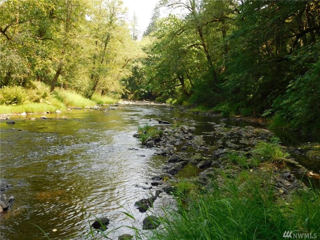 107 Wapati Rd - Photo 1
