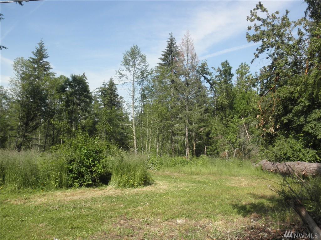 38512 Mountain Hwy - Photo 1