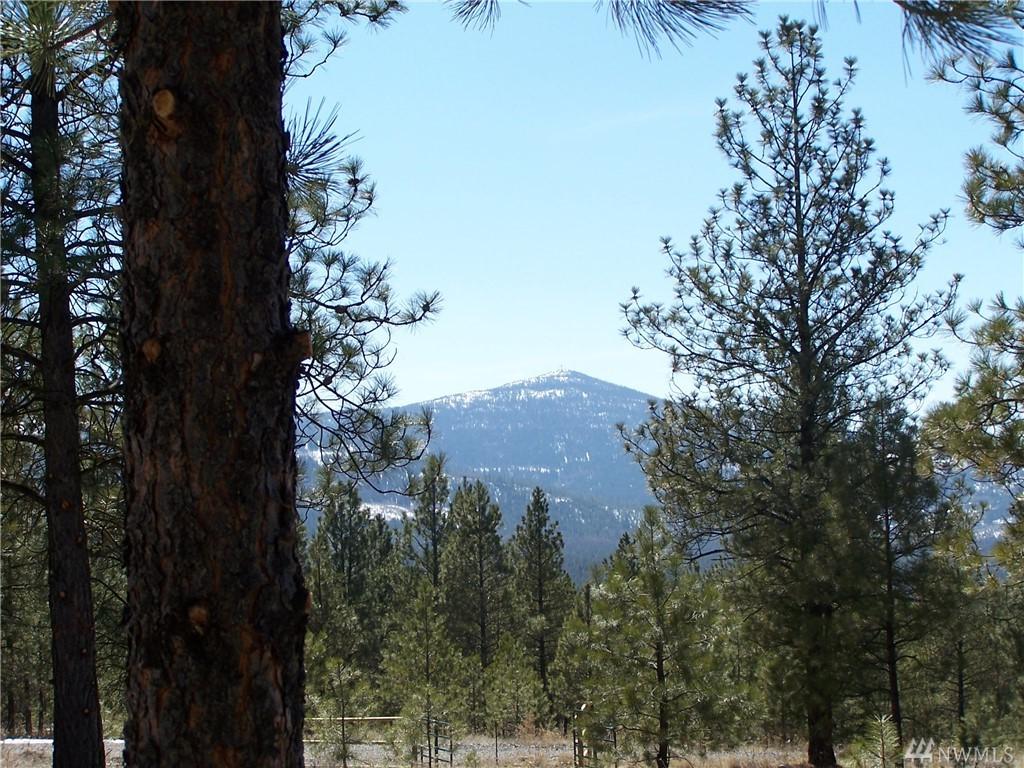 4 Lookout Trail Spur - Photo 1