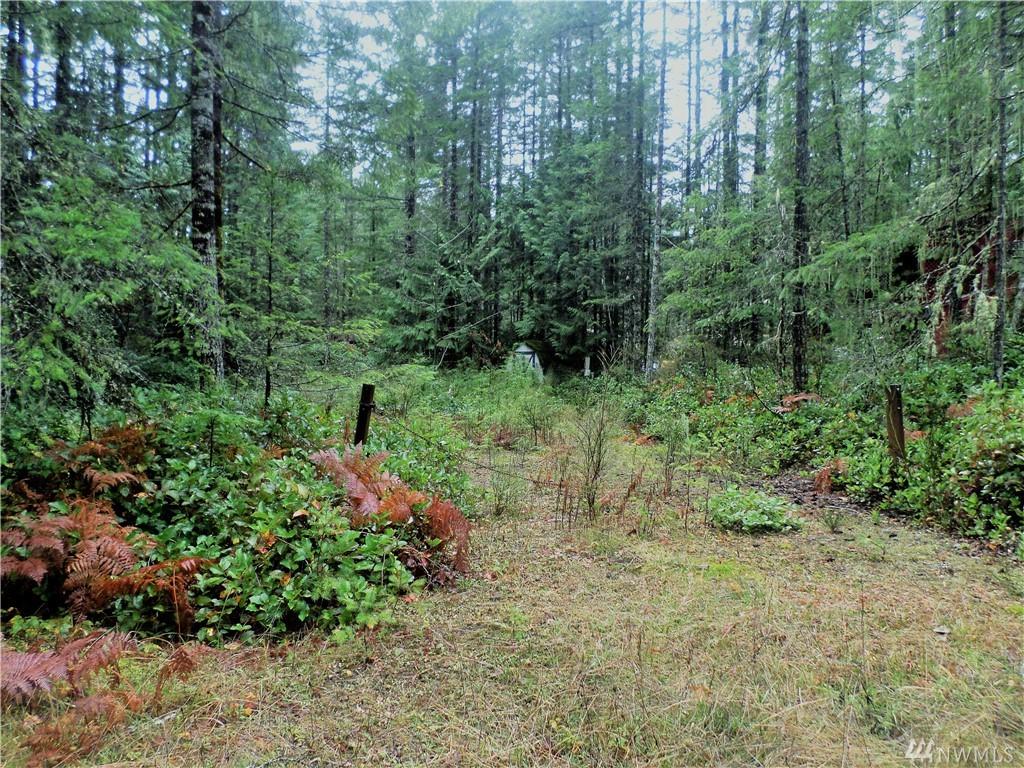 50 Duckabush Dr - Photo 1