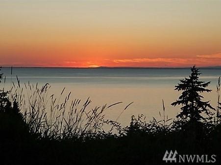 5835 Semiahmoo Dr - Photo 1