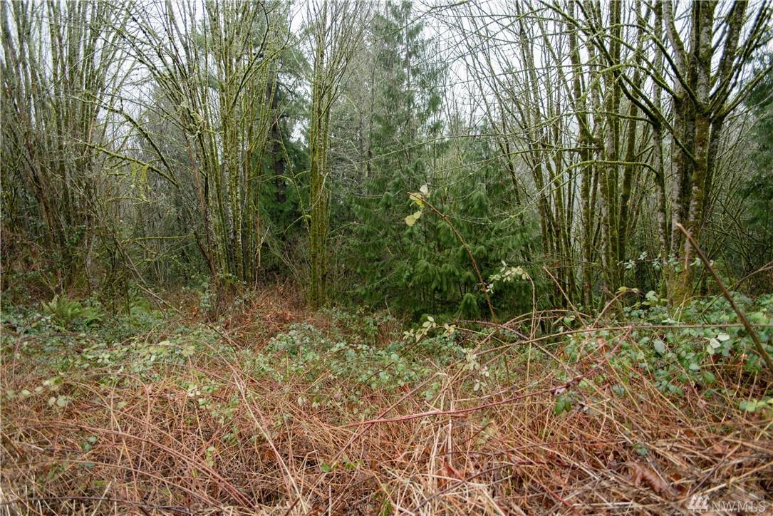 13805 Jordan Trails Rd - Photo 1