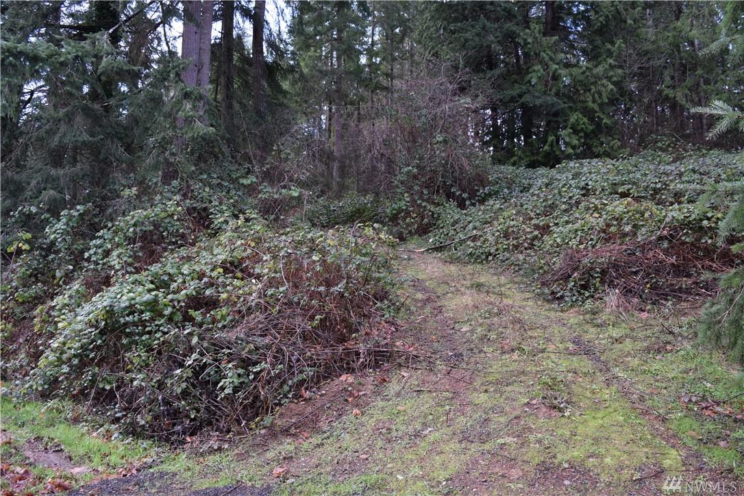 7929 Ellison Lp - Photo 1