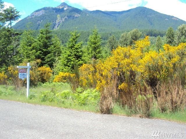 32-& 33 Lot Jack Fir Ct - Photo 1