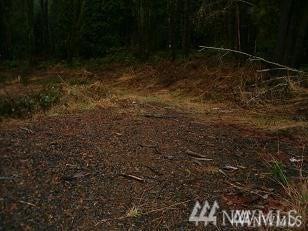136 Sunset View Rd - Photo 1