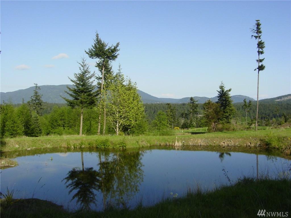 393 Pleasure Horse Rd - Photo 1