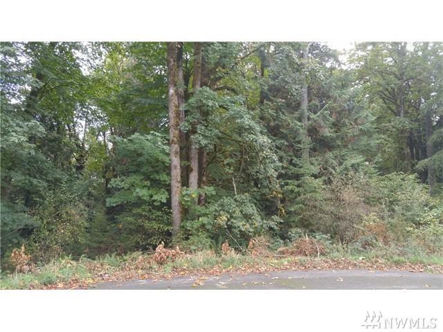 1434 Mccorkle Rd - Photo 1