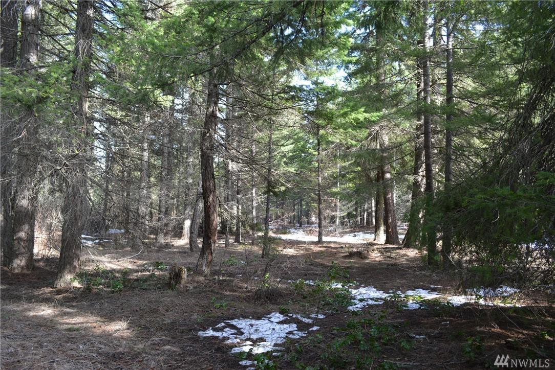 91 Jumbo Mine Lane - Photo 1