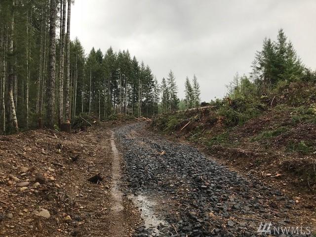 0 Tee Lake Rd - Photo 1