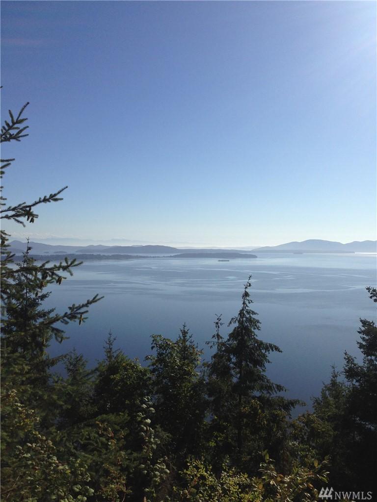 0 Chuckanut Ridge - Photo 1
