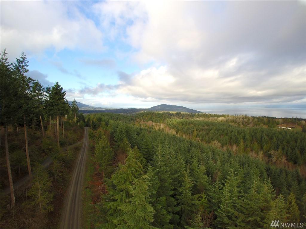 999 Cougar Ridge Rd - Photo 1