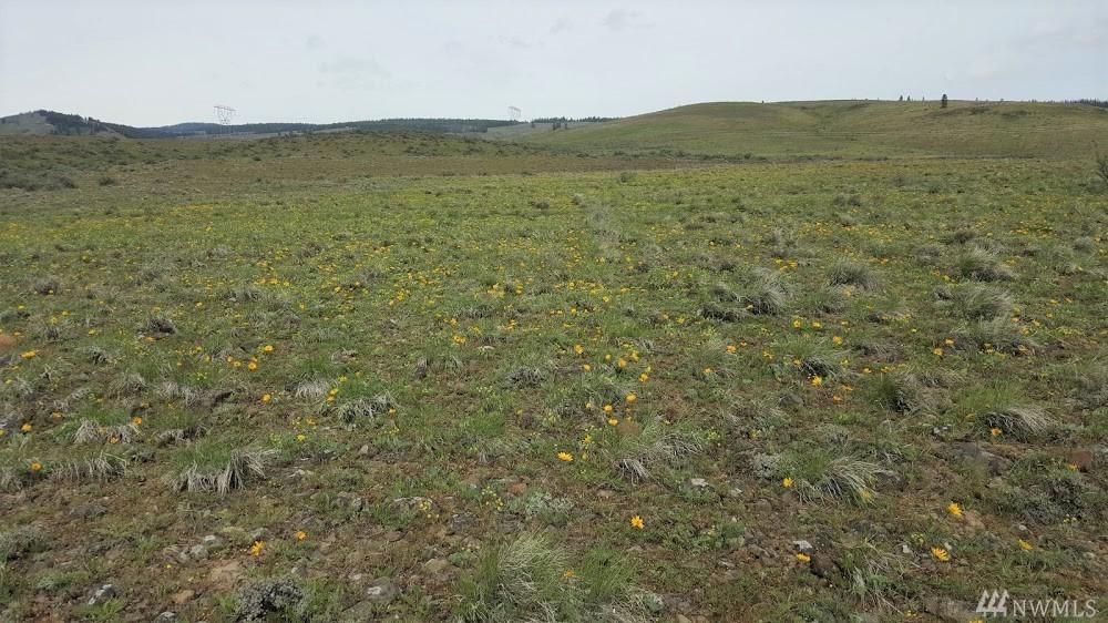 93-XX Chukar Ridge Rd - Photo 1