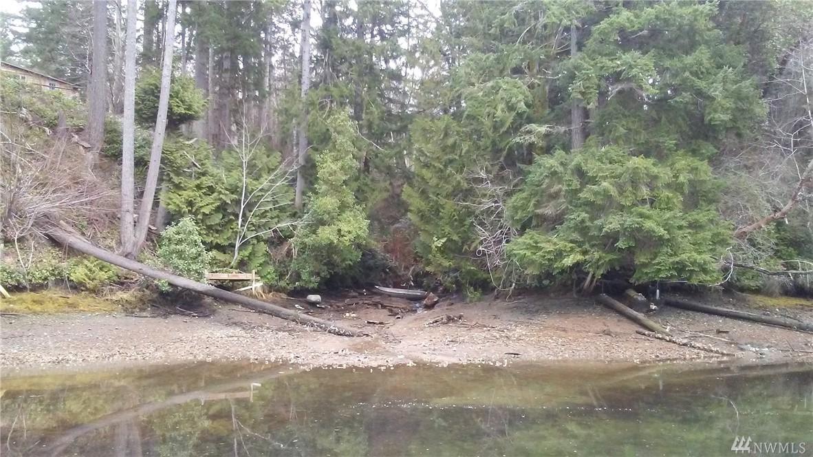 41 Wolf Rd - Photo 1