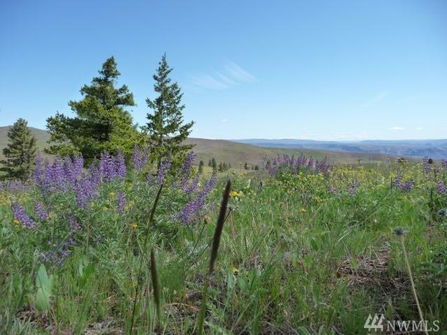 0 Jumpoff Rd - Photo 1
