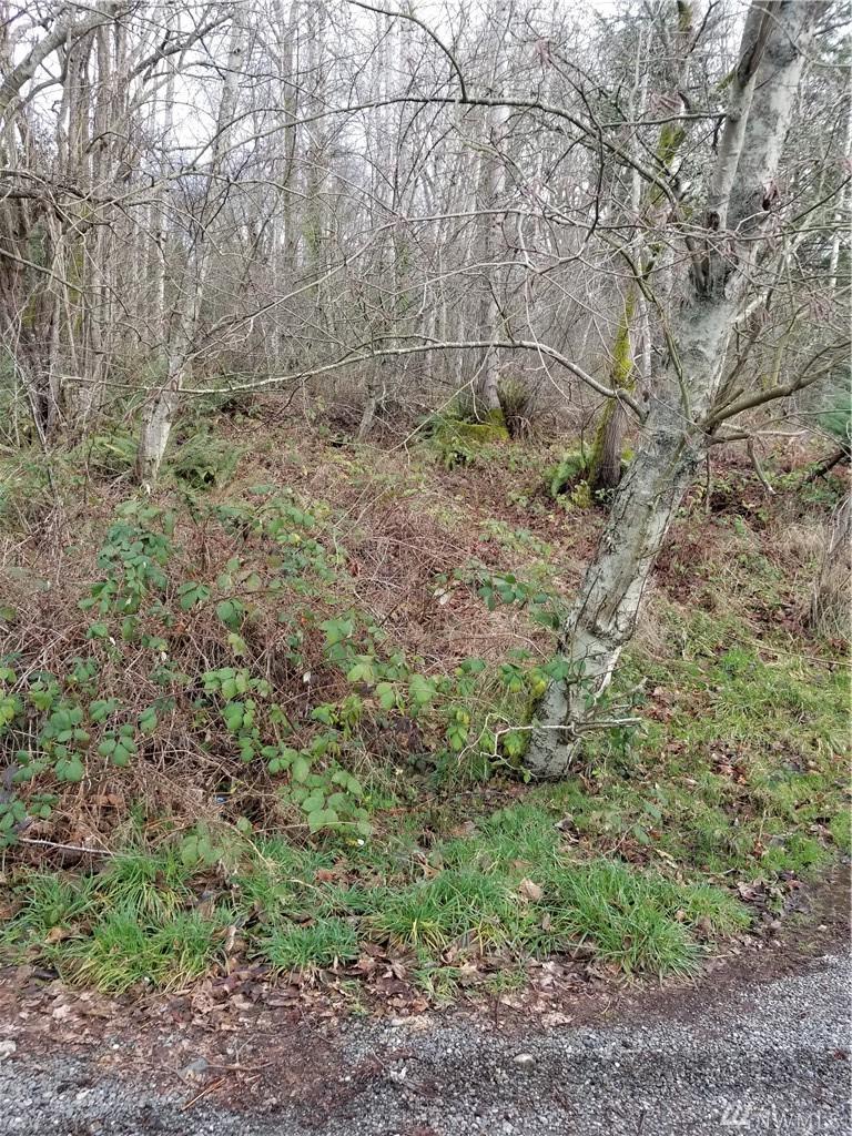 2819 302nd - Photo 1