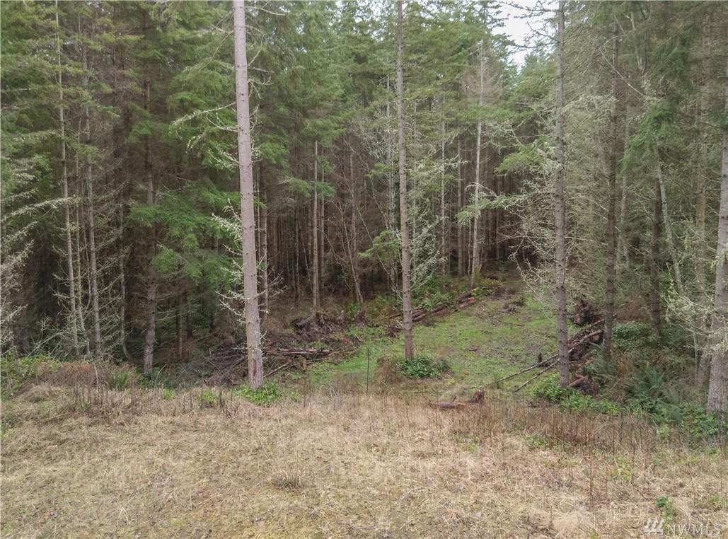 0-TBD Discovery Ridge Rd. - Photo 1