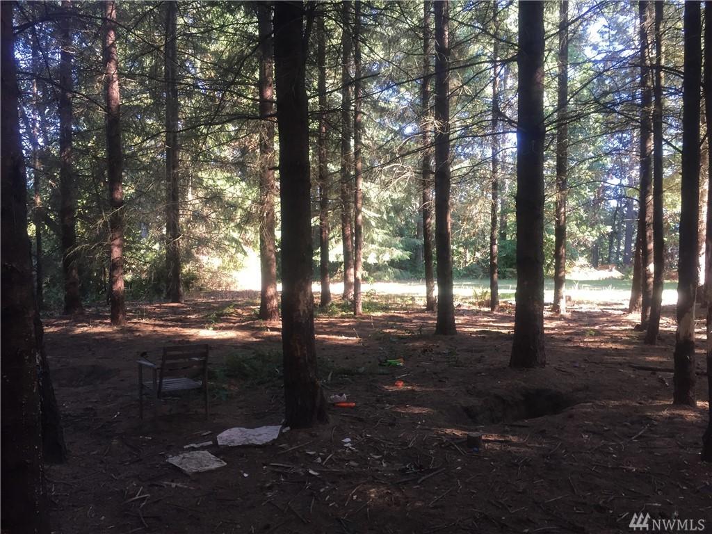 5218 Pine Rd - Photo 1