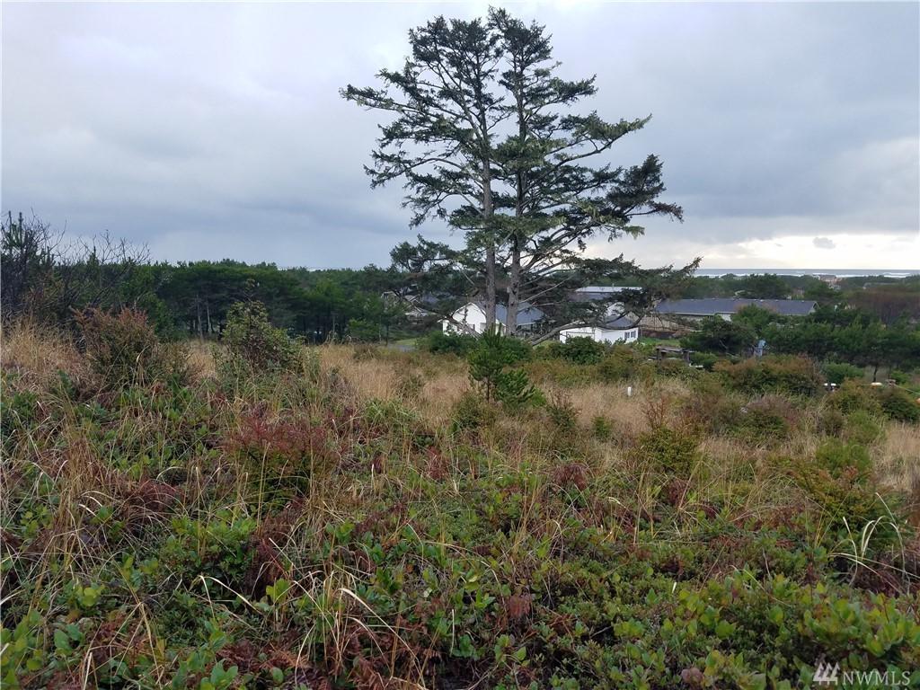 35305 J Place - Photo 1