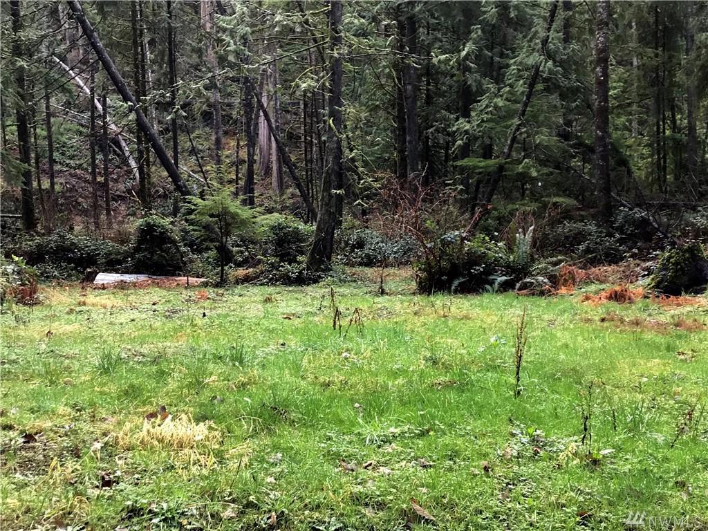 20018 Barlow Pass Trail - Photo 1