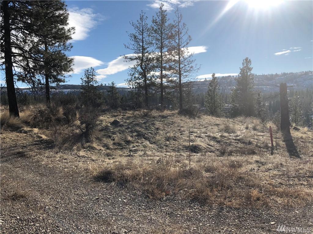 0 Tbd Lot 3 Lake Bluff North - Photo 1