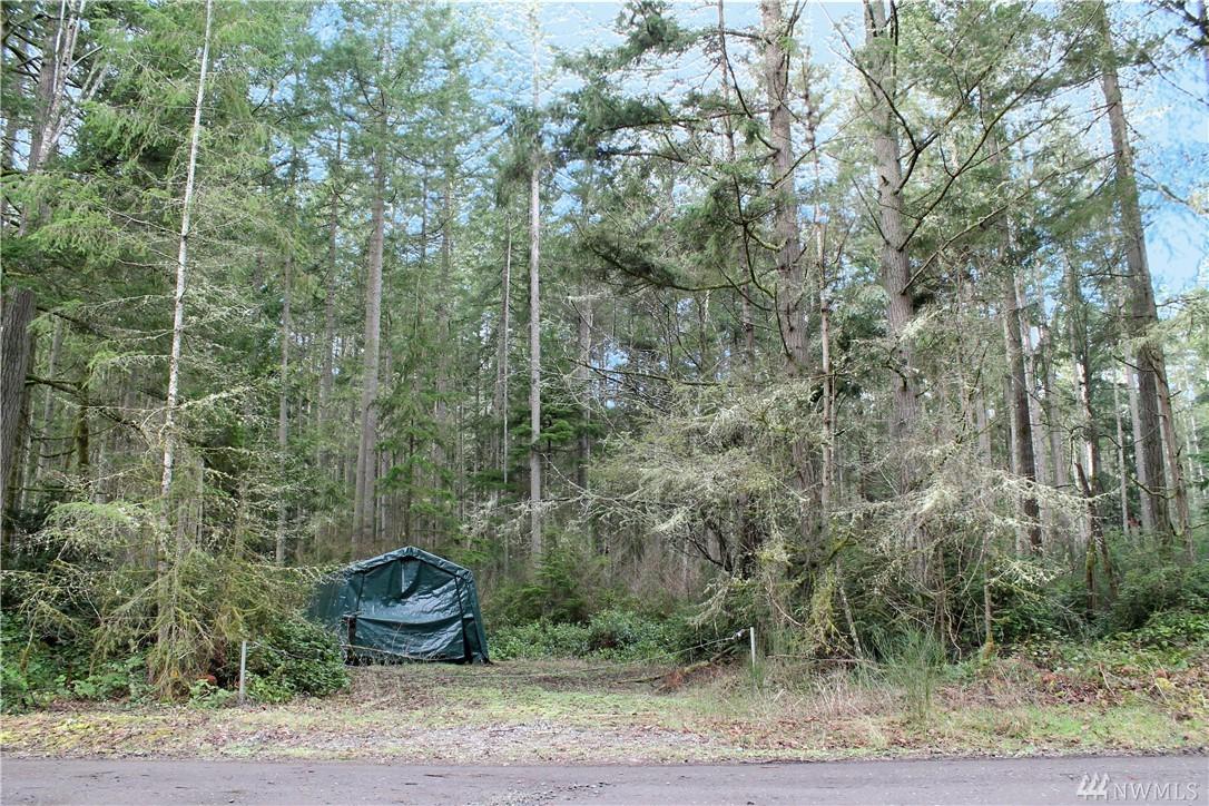 11616 109th Av Ct - Photo 1