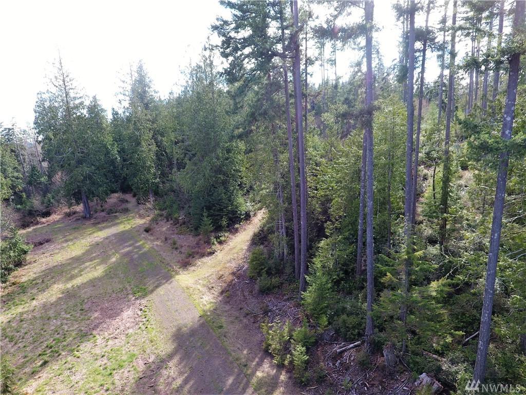 0-Lot 2 Whitney Ct - Photo 1