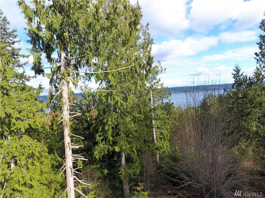 0-Lot 3 Whitney Ct - Photo 1