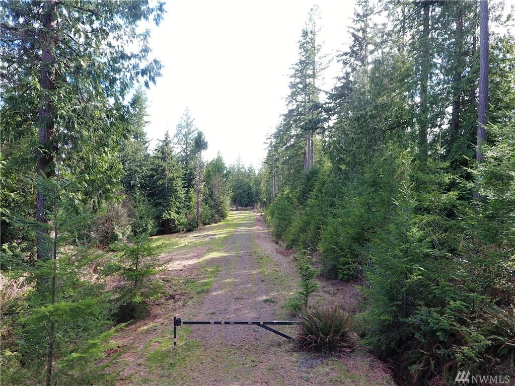 0-Lot 4 Whitney Ct - Photo 1