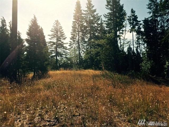 50 Tall Timber Lane - Photo 1