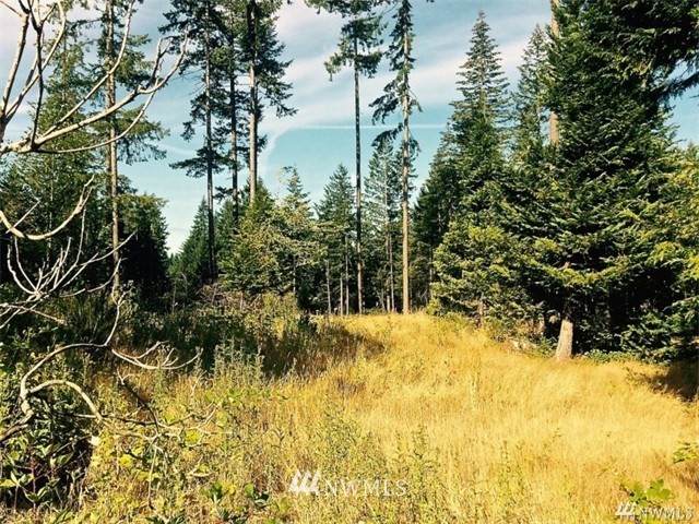 40 Tall Timber Lane - Photo 1
