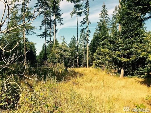 40 Tall Timber Lane - Photo 1
