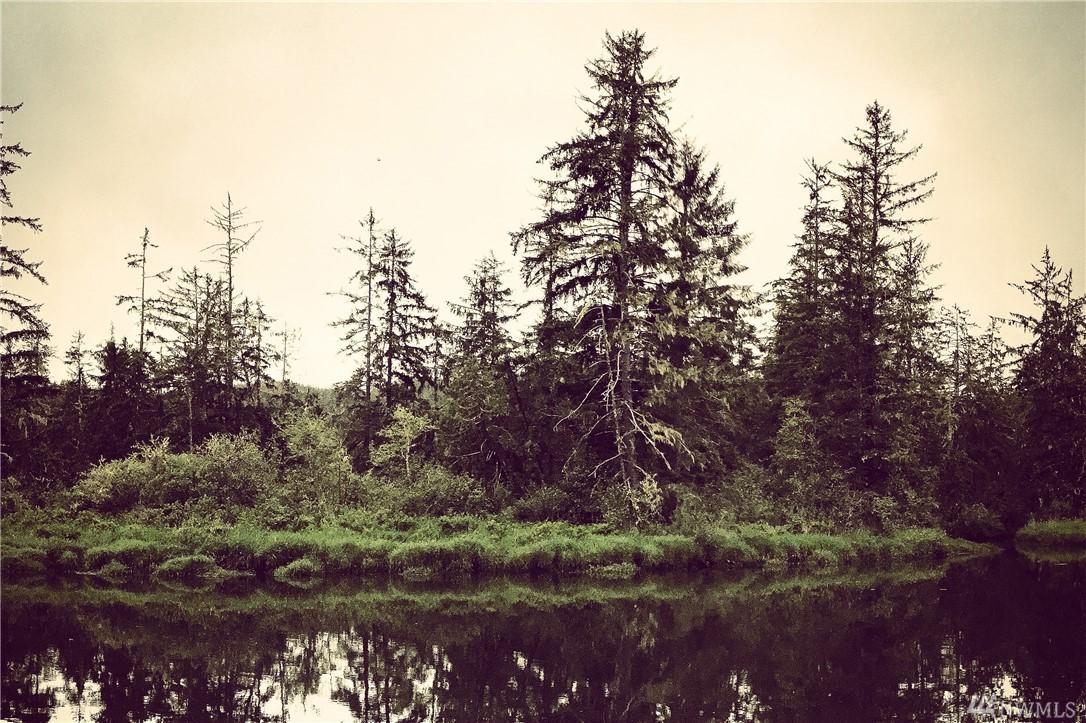 17-xx Hoquiam Rd - Photo 1
