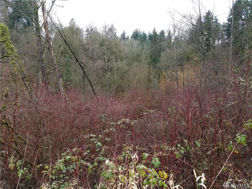 36501 Valley Hwy - Photo 1