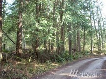 19403 214 St Ct - Photo 1