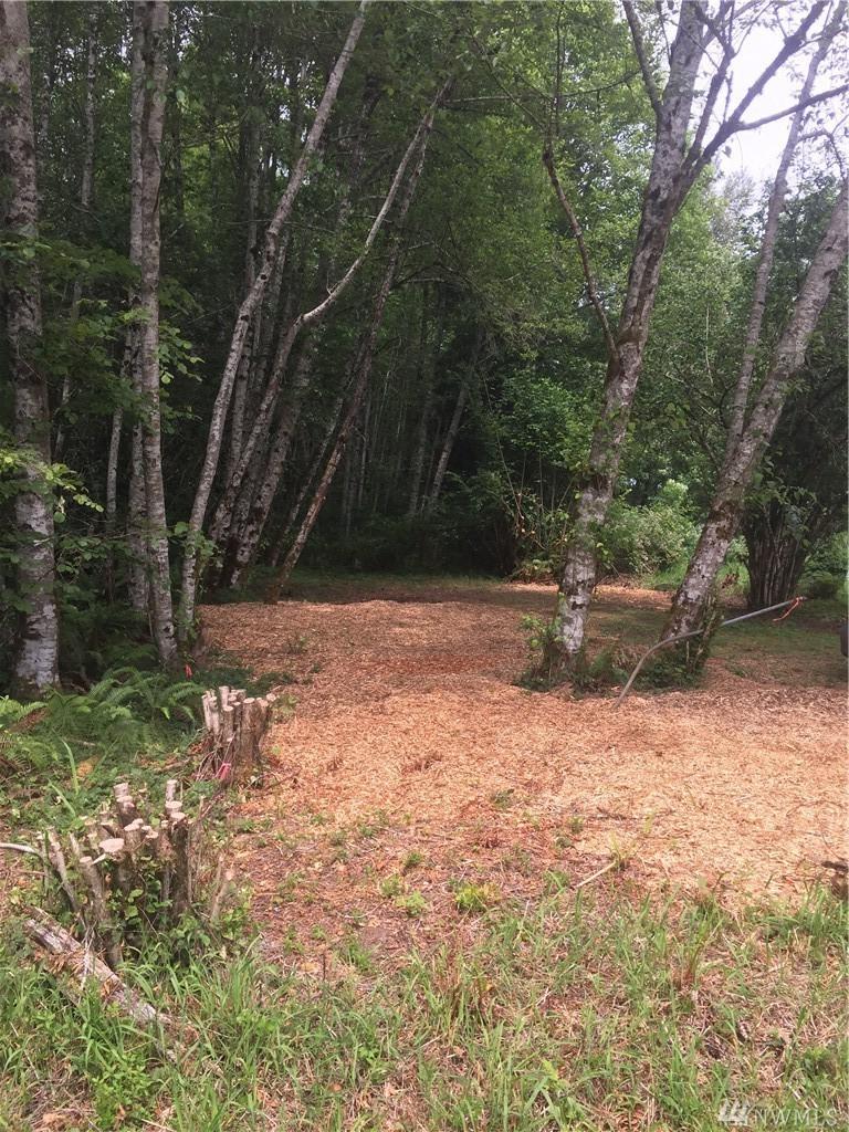 3320 Sapp Rd - Photo 1