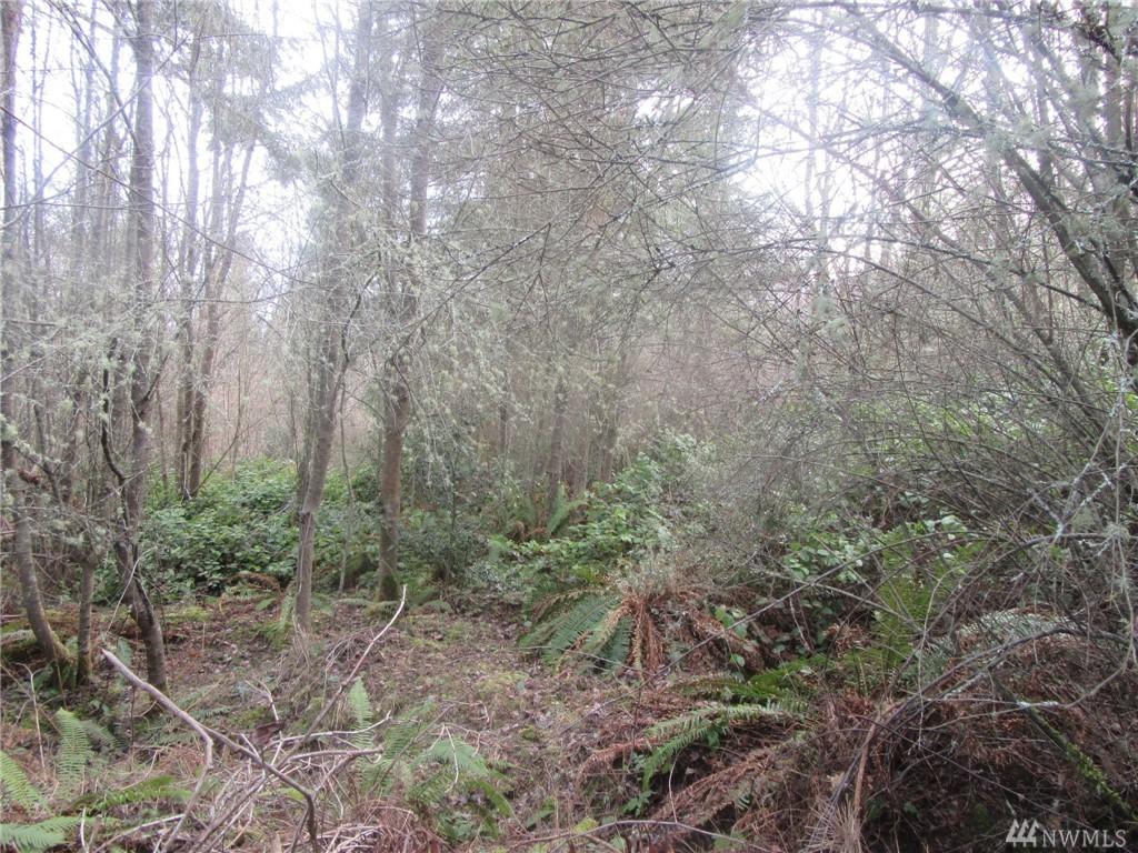 0 Bell Ave - Photo 1