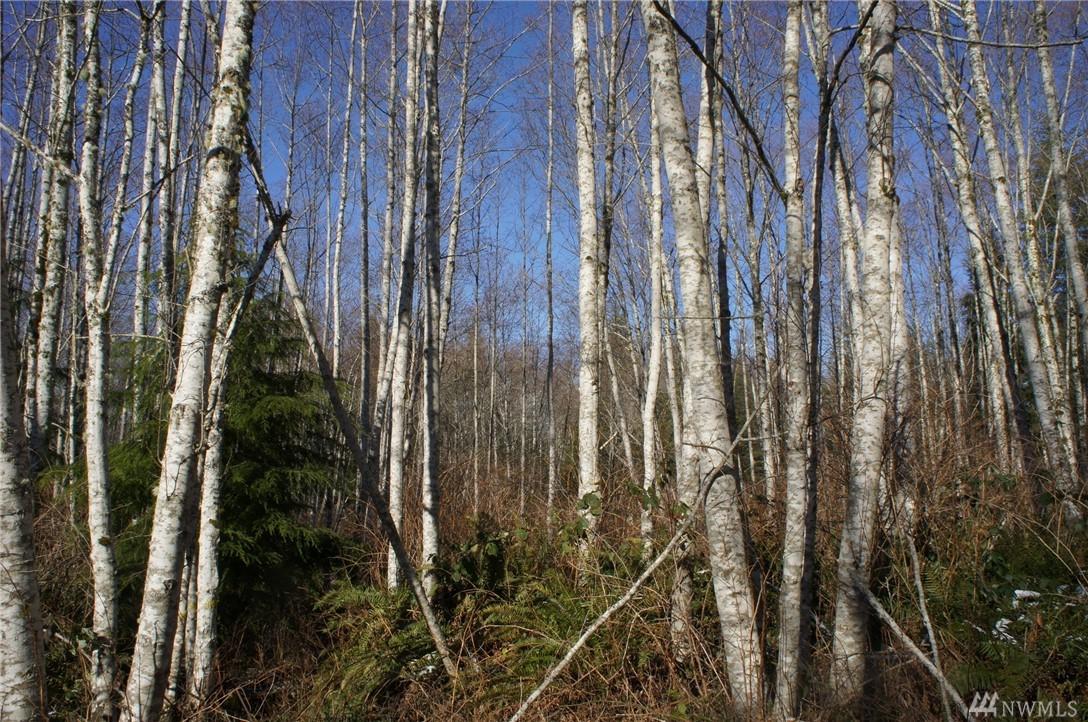0-NSN Blacktail Ct - Photo 1