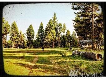 292 Hwy 20 Hwy - Photo 1