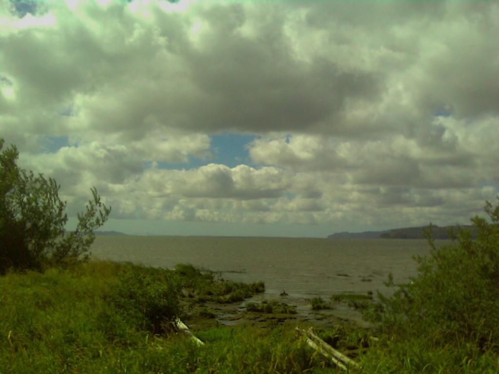 889 Altoona-Pillar Rock Rd - Photo 1