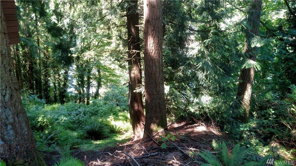 1805 Emerald Lake Wy - Photo 1
