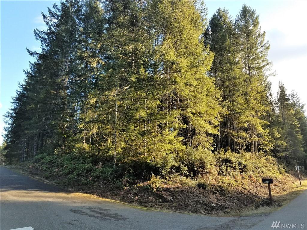 0-A Jack Pine Lane - Photo 1