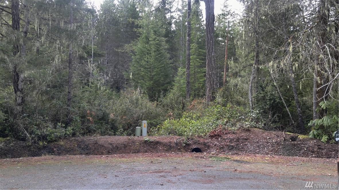 231 Blackberry Lane - Photo 1
