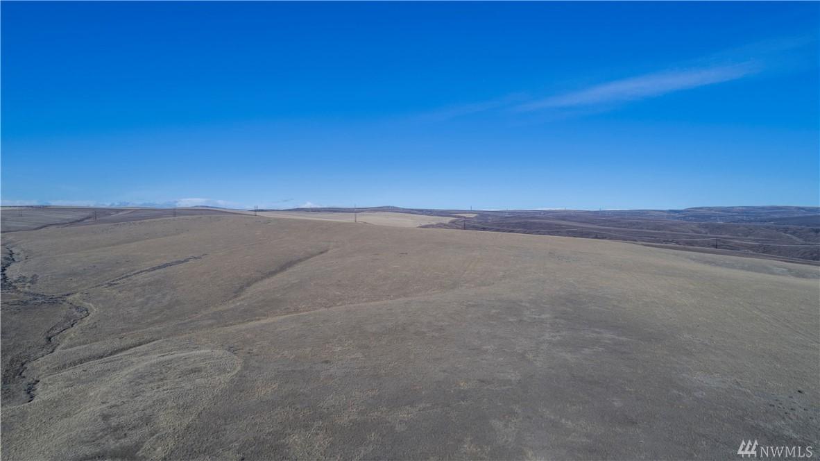 0 Baird Springs Rd - Photo 1