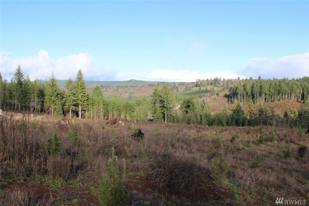 0 Slide Creek Rd - Photo 1
