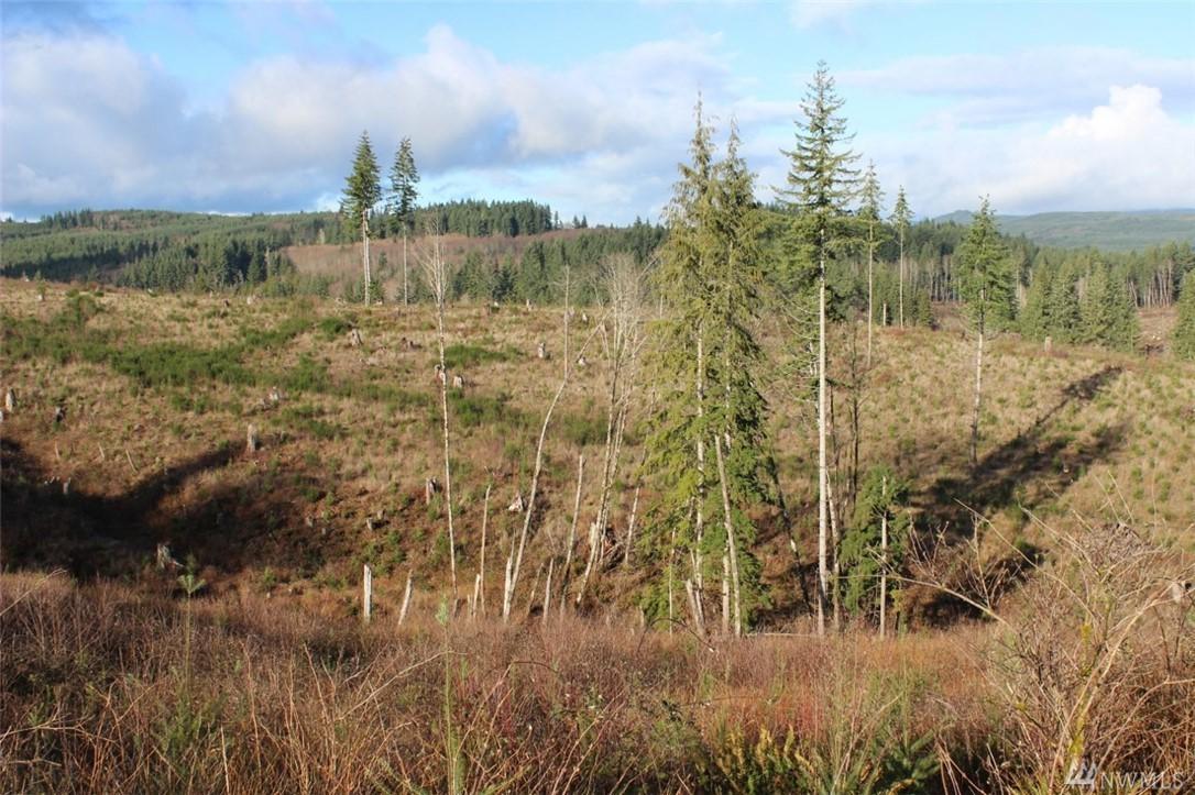 0 Cameron Creek Rd - Photo 1
