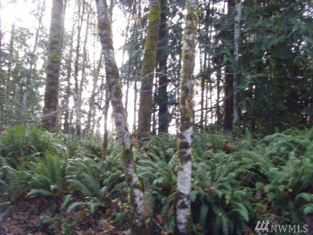 0 Toutle River Rd - Photo 1