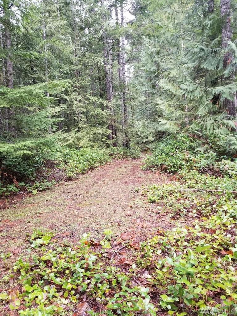 0-Lot D White Tail Wy - Photo 1