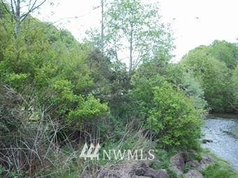 282 Bingaman Pond - Photo 1